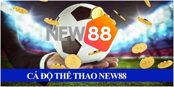 24h tin nhanh bong da cập nhật tin tức bong da 24h mới nhất hôm nay