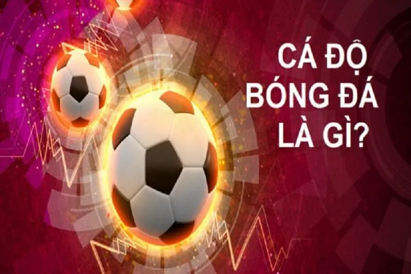Khám phá casino trực tuyến uy tín Việt Nam với nhiều ưu đãi hấp dẫn