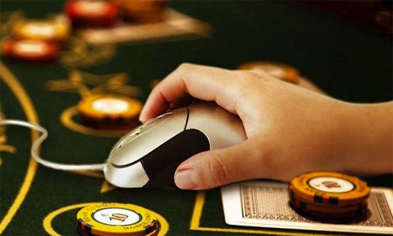 Khám phá nghệ thuật long hình quyền và những bí quyết luyện tập hiệu quả